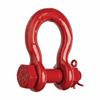 Picture of Crosby® 1-1/4" S-2130 Self-Coloured Bolt Type Anchor Shackles