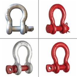 Picture for category Shackles